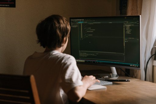 The Comprehensive Guide to Becoming a Leading Security Software Developer